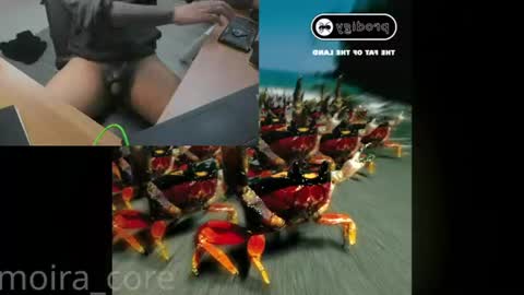 Snapshot of moira_core chatting on July 2026 10:13:01 AM moira_core online show from July 2026 10:13:01 AM