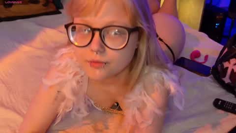 moliqin online show from May 2026 08:53:02 AM