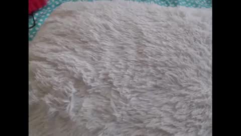 Molly And Brad online show from February 2025 10:21:01 PM