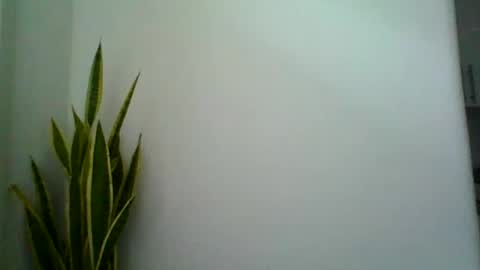 mollypepe online show from September 2025 09:42:02 AM