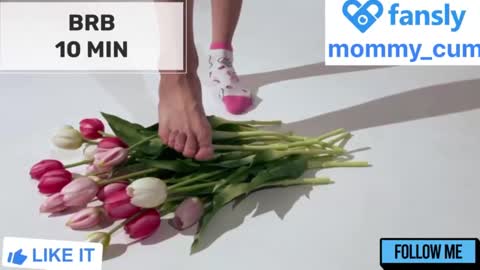 Mommy online show from January 2025 02:11:01 AM