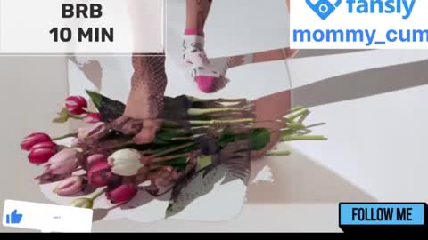 Mommy online show from January 2025 08:25:02 AM