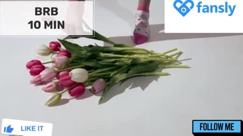 Mommy online show from March 2025 05:46:01 AM