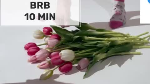 Mommy online show from March 2026 05:08:02 AM