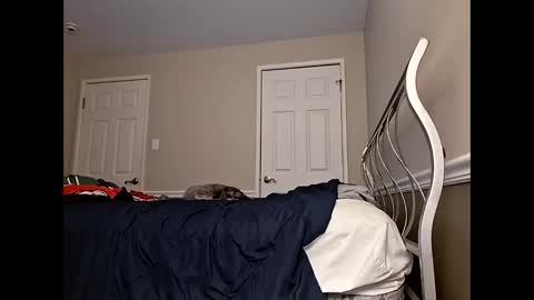 moneyboysaveg584 online show from April 2026 10:09:02 AM