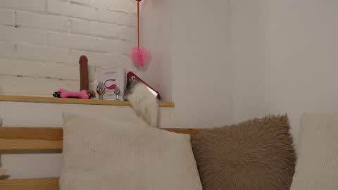 monicaasis online show from February 2025 12:21:01 AM