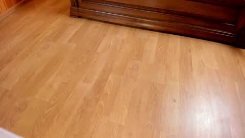 Snapshot of monika_gram chatting on January 2025 07:39:01 PM Monika NO c2c ever. PVT free Naked Fingering pussy doggy or standing BJ HJ Feet Fashion. PVT extra Toy control 400tk. online show from January 2025 07:39:01 PM