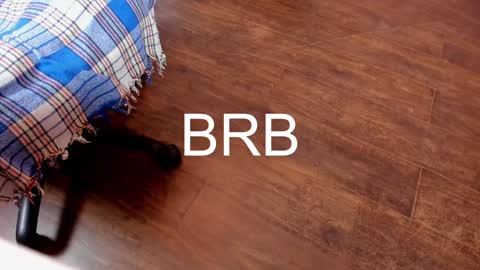 Snapshot of monika_gram chatting on February 2025 11:37:02 PM Monika NO c2c ever. PVT free Naked Fingering pussy doggy or standing BJ HJ Feet Fashion. PVT extra Toy control 400tk. online show from February 2025 11:37:02 PM