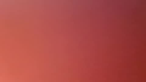 Snapshot of monrod2517 chatting on February 2025 02:35:01 AM monrod2517 online show from February 2025 02:35:01 AM