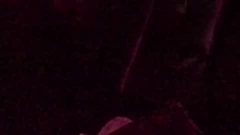 montydxxx2 online show from September 2025 03:05:01 AM