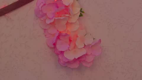 Im a independent model  Welcome online show from April 2026 04:34:01 PM