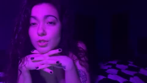 Moonkitty online show from February 2025 12:41:01 AM