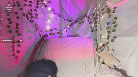 Dana online show from December 2024 06:09:02 PM