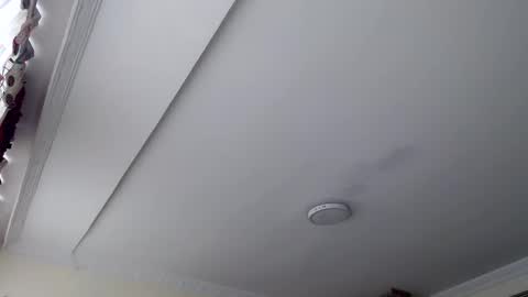 Abelardo online show from October 2025 03:03:02 PM