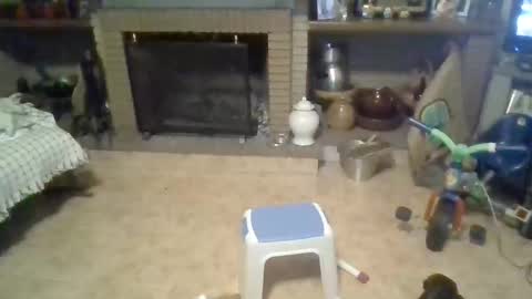 morenikoo26 online show from April 2026 11:07:02 PM