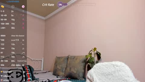 Medina online show from January 2025 06:57:02 PM