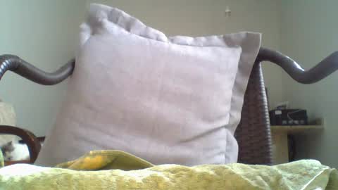 Snapshot of mountfort1967 chatting on July 2026 03:14:02 PM mountfort1967 online show from July 2026 03:14:02 PM