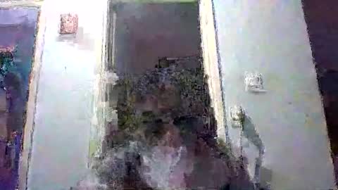 mppempis81 online show from January 2026 09:49:02 PM