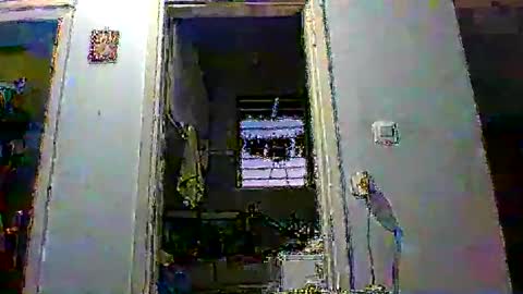 mppempis81 online show from January 2026 03:50:01 PM