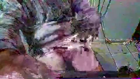 mppempis81 online show from January 2026 07:11:01 PM