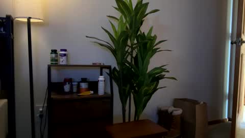 Sequoia-Cocked Hombre de Sur online show from February 2026 08:40:02 PM