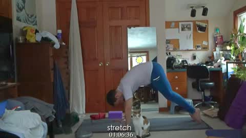 ninko online show from January 2025 05:42:02 PM