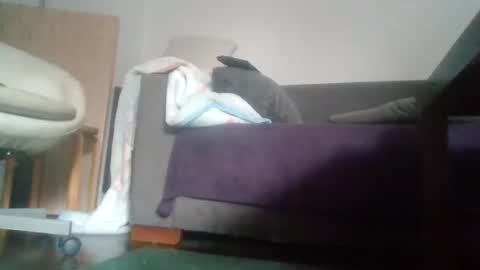 Nikola online show from October 2025 09:54:01 AM