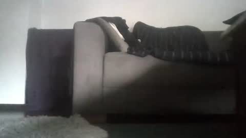 Nikola online show from November 2025 07:32:01 AM