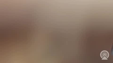 nlNL online show from October 2025 07:33:01 PM