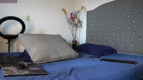 Luis    Instagram   online show from February 2025 04:15:02 PM