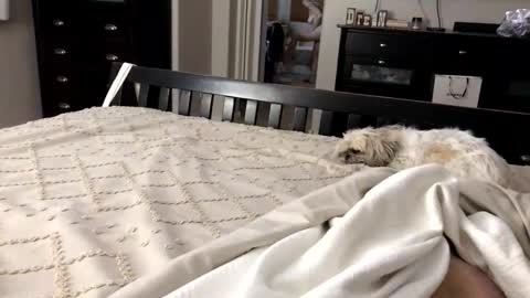 mrrogue online show from November 2025 05:20:01 AM