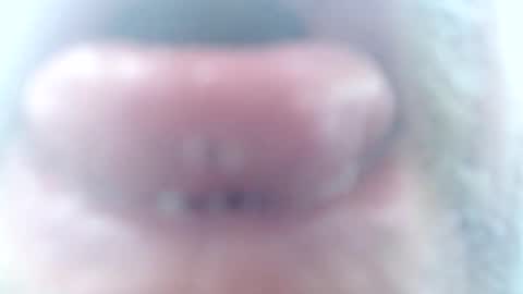 Snapshot of mrtease5 chatting on February 2026 11:31:01 AM mrtease5 online show from February 2026 11:31:01 AM