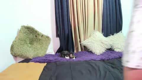 Miss Justine online show from March 2026 02:04:02 AM