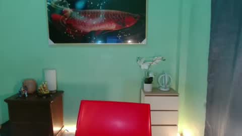 msmeygan online show from December 2024 11:43:01 AM