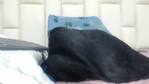 FERNANDA 3 online show from December 2024 03:04:01 AM