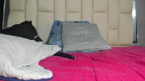 FERNANDA 3 online show from December 2024 06:10:02 AM