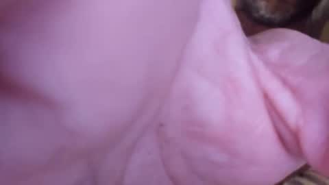 Snapshot of mtnclimber1 chatting on April 2026 10:36:02 PM mtnclimber1 online show from April 2026 10:36:02 PM