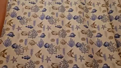 Muffdiver online show from March 2026 07:41:02 PM