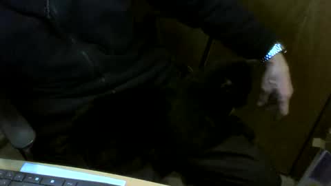 muller520 online show from February 2026 04:44:01 PM