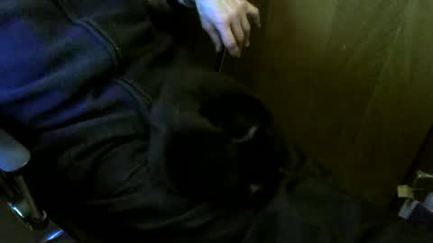 muller520 online show from March 2026 03:52:01 PM