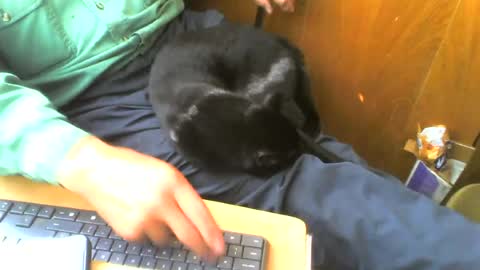 Snapshot of muller520 chatting on August 2026 01:03:01 PM muller520 online show from August 2026 01:03:01 PM