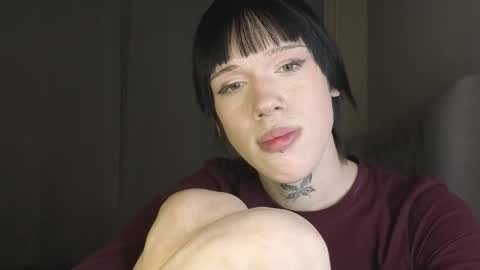 Polik online show from March 2026 04:13:01 PM