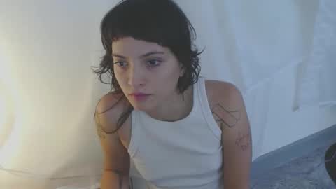   online show from November 2025 04:51:02 PM