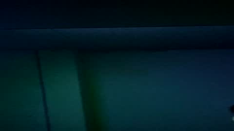 Snapshot of muscles_hulk chatting on July 2026 12:26:01 AM Hulk Muscles - NEW ACCOUNT online show from July 2026 12:26:01 AM