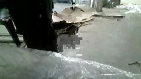 mustafaizmirturkey online show from February 2026 12:06:01 PM