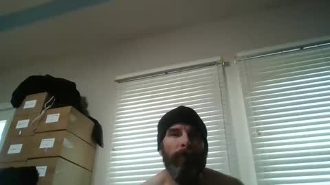 vienna online show from November 2025 03:25:02 PM