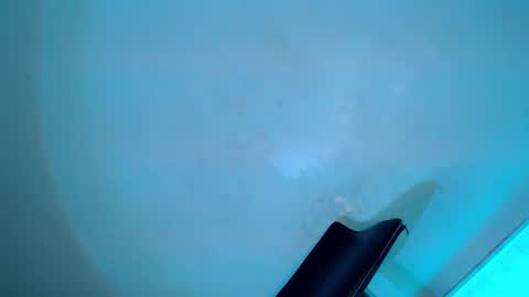 Serena online show from February 2025 08:31:01 AM