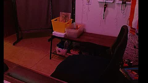 LA MARIPOSA DE MARICOPA online show from January 2025 08:27:02 AM