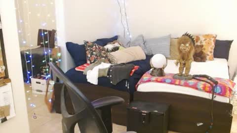 LA MARIPOSA DE MARICOPA online show from February 2025 05:41:01 AM