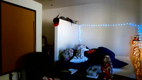 LA MARIPOSA DE MARICOPA online show from October 2025 09:12:02 PM